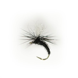 Klinkhamer Black # 13