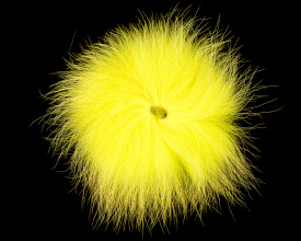 Arctic Fox - Fluo Yellow