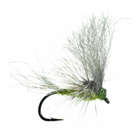 Umpqua May Day BWO