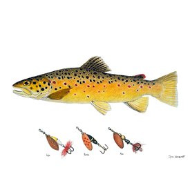 Myran Framed Brown Trout Poster