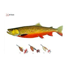 Myran Framed Arctic Char Poster