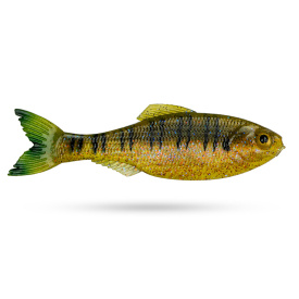 6th Sense Panorama, 3,5'' - Live Sunfish
