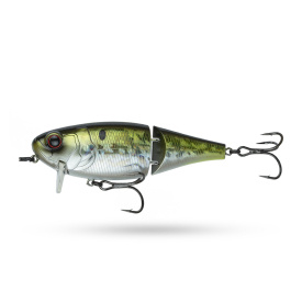6th Sense Speed Wake 100 - American Shad