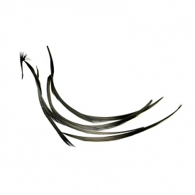 Goosebiots - Black