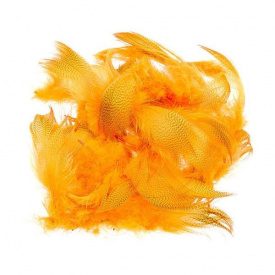 Mallard Barred Flank - Fluo Orange