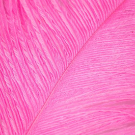 Struts plym - Fluo Pink
