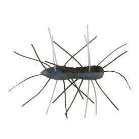 Z-man Fuzzy BugZ 1.75'' (4-pack) - The Deal