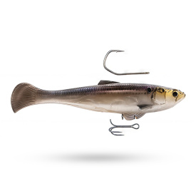 Z-man Swag LT 6'' - Gizzard Shad