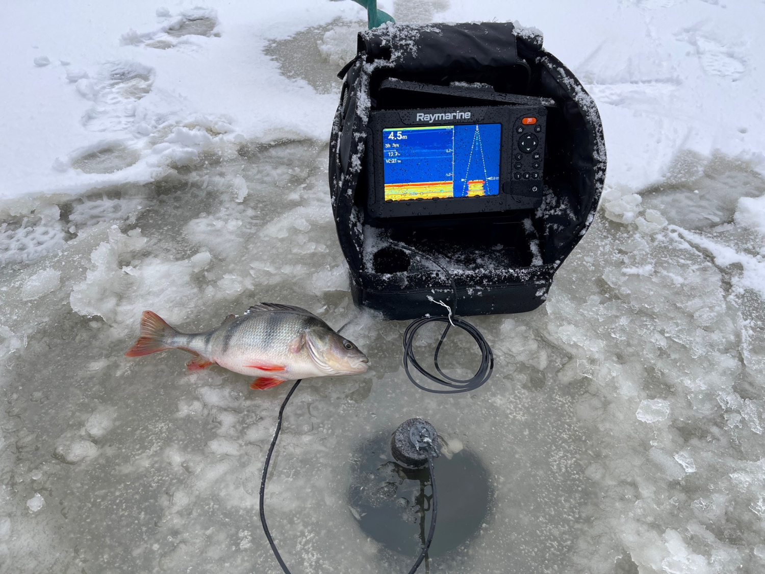 Raymarine CPT-S Ice Fishing Transducer